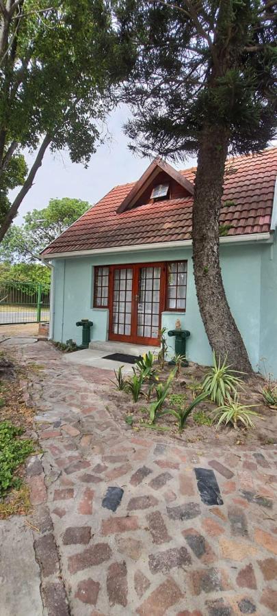 Cozy Cottage +/- 500M From The Beach Kapsztad Zewnętrze zdjęcie